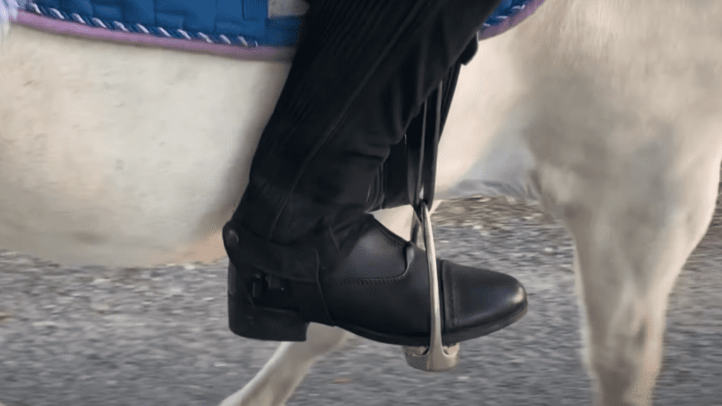 Jodhpur boots